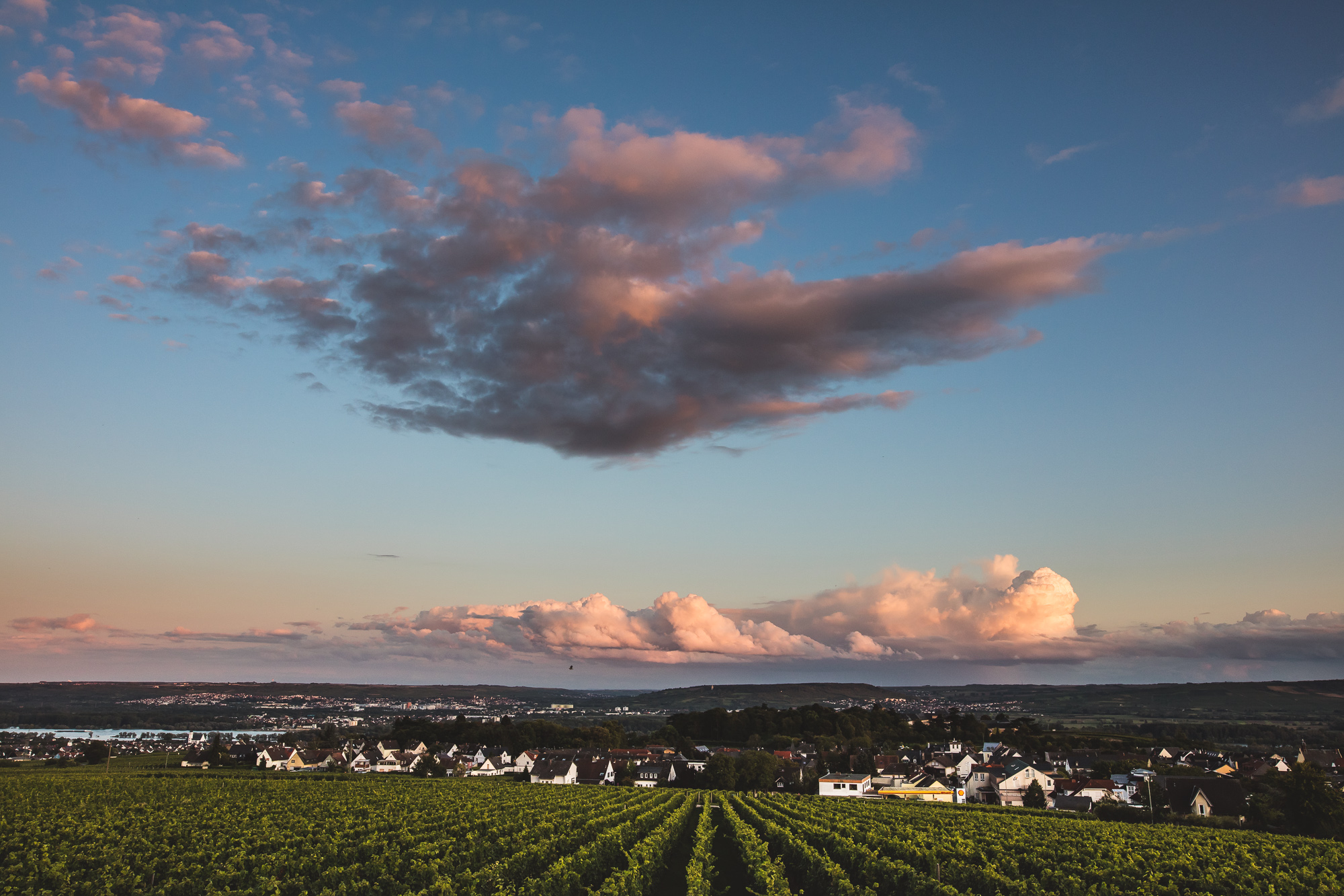 Hochzeit Burg Schwarzenstein Geisenheim-87